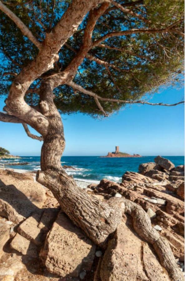 Le Semaphore Saint-Raphaël Dış mekan fotoğraf